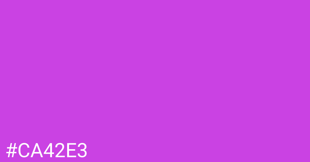 Hex color #ca42e3 graphic