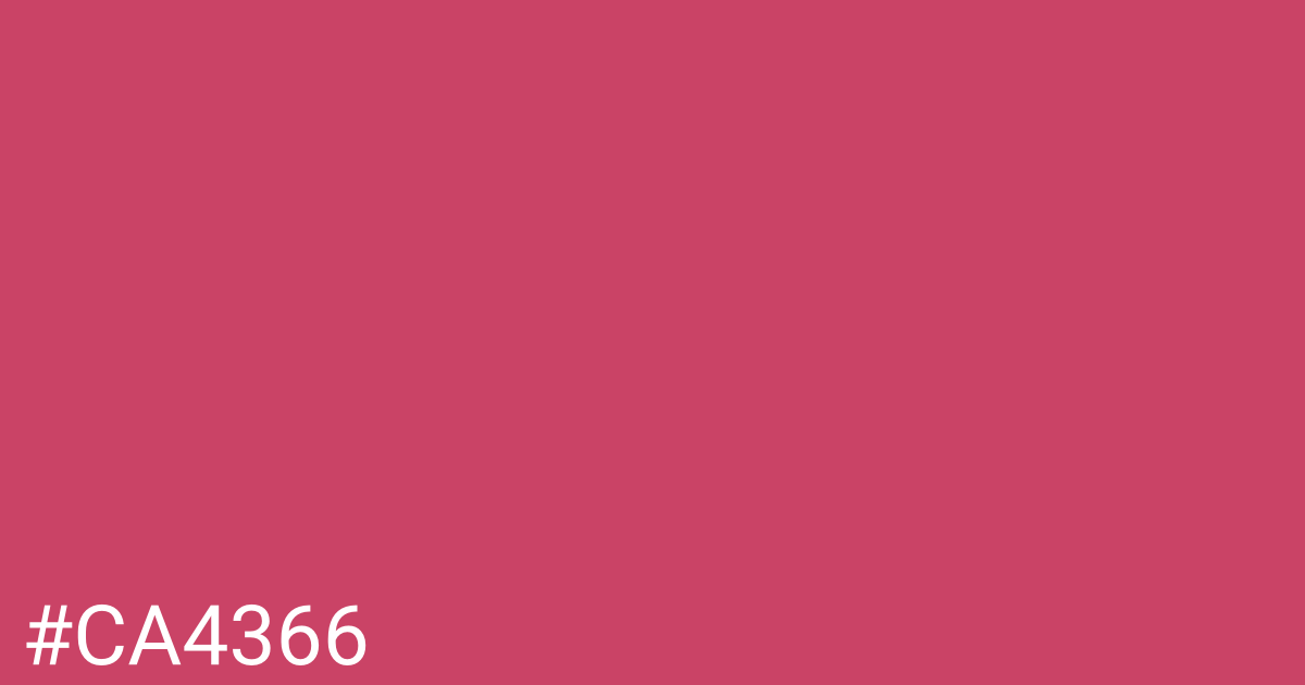 Hex color #ca4366 graphic