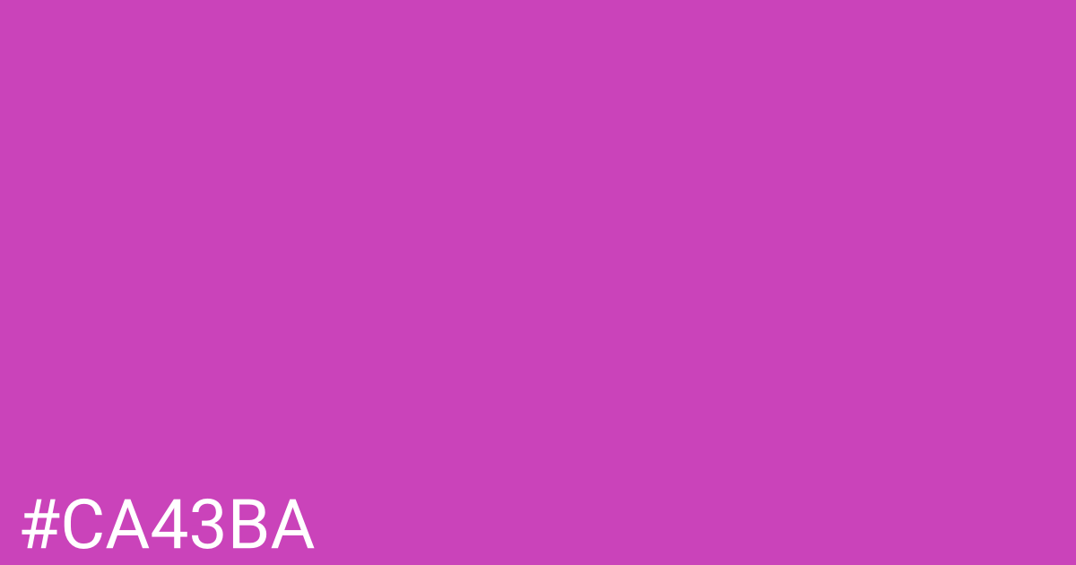 Hex color #ca43ba graphic