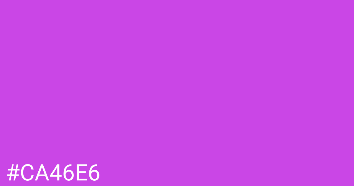 Hex color #ca46e6 graphic