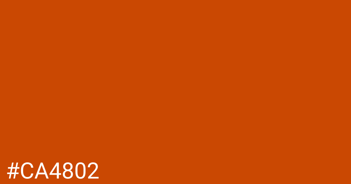 Hex color #ca4802 graphic