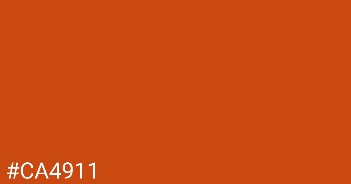 Hex color #ca4911 graphic