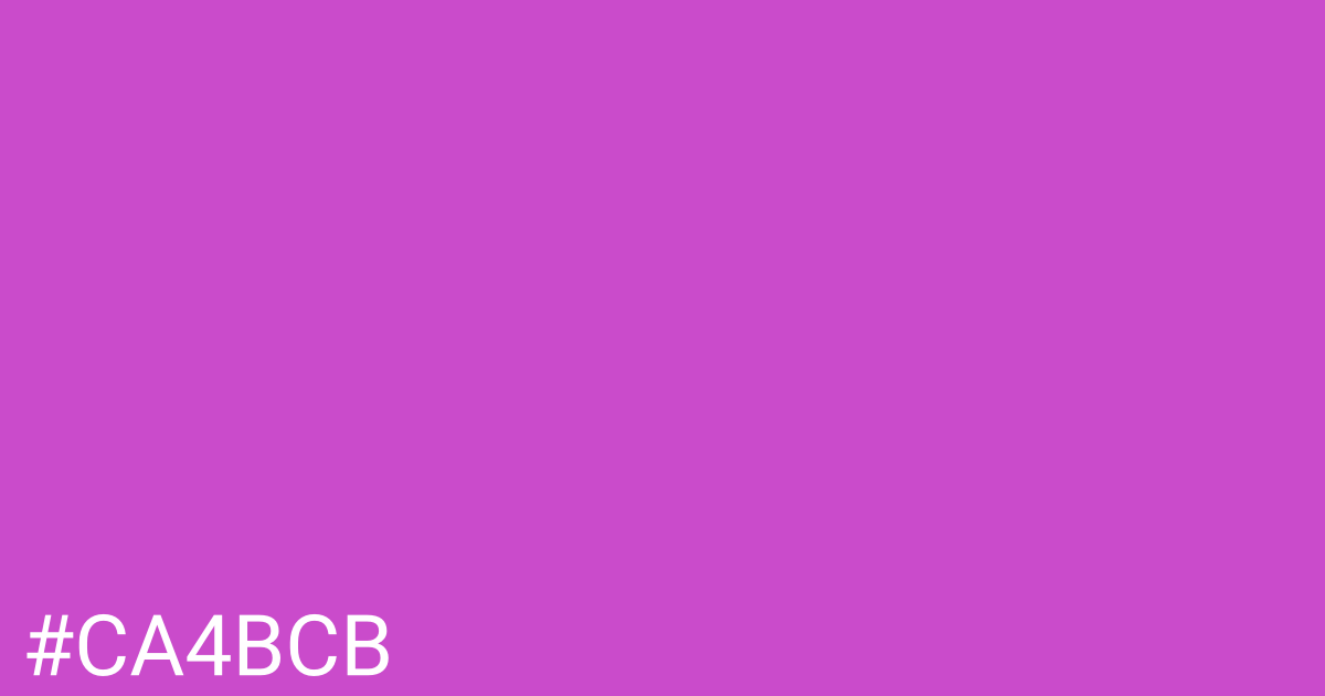 Hex color #ca4bcb graphic