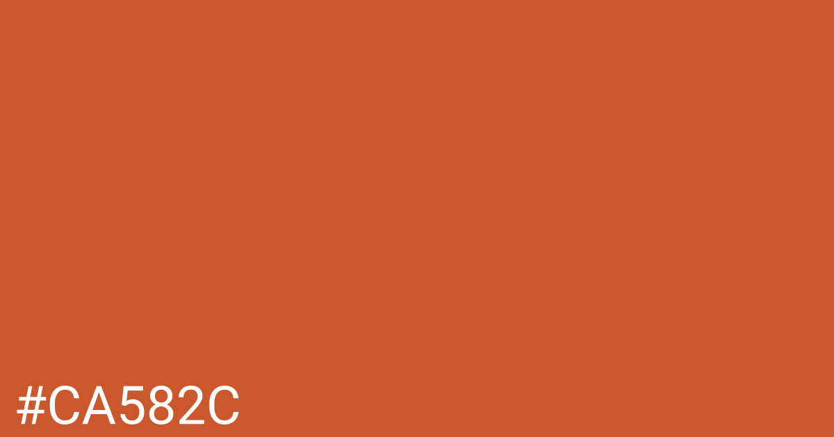 Hex color #ca582c graphic