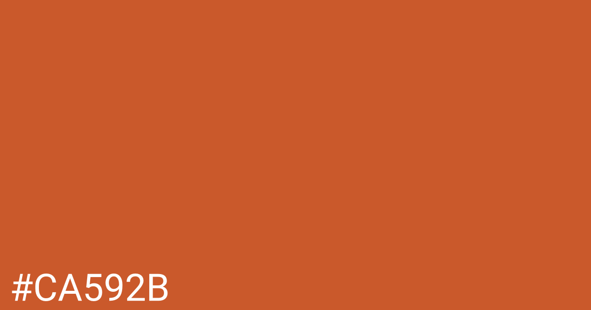 Hex color #ca592b graphic