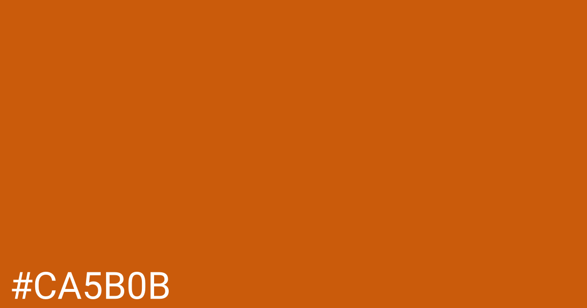 Hex color #ca5b0b graphic