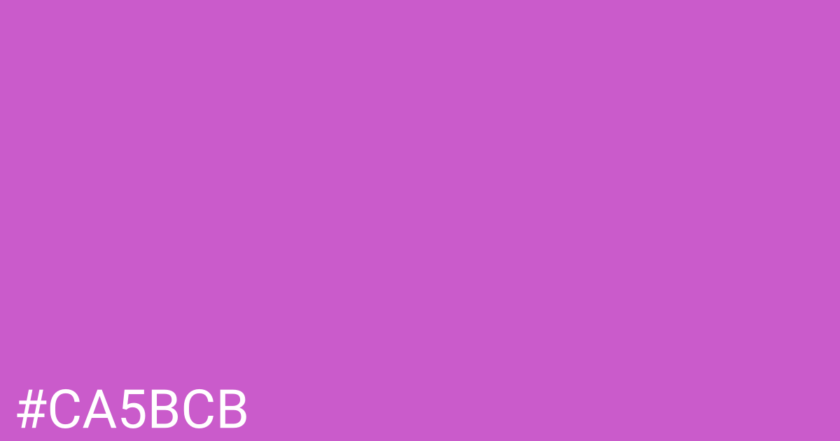 Hex color #ca5bcb graphic