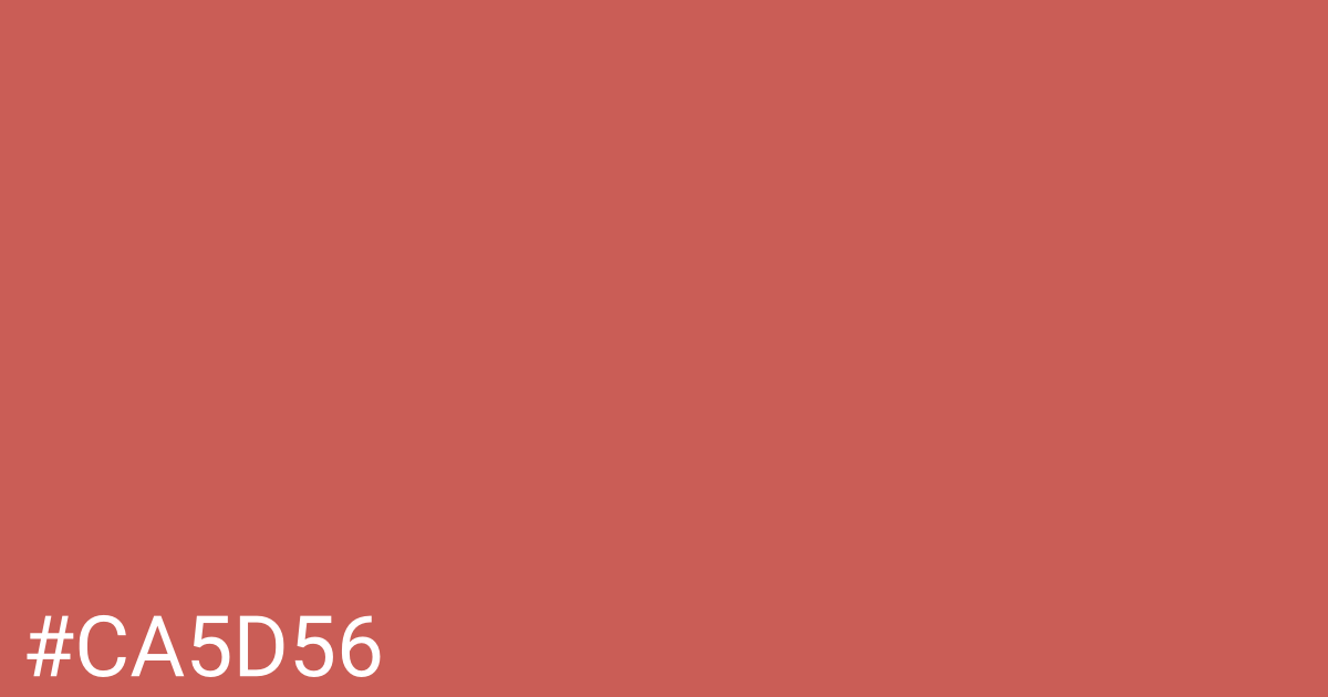 Hex color #ca5d56 graphic