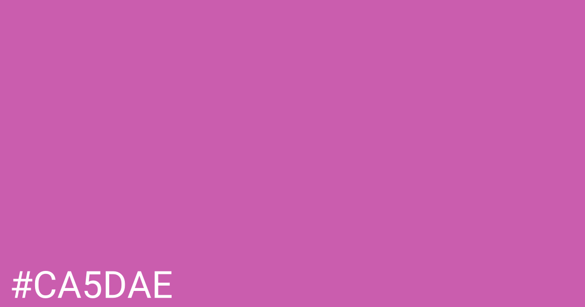 Hex color #ca5dae graphic