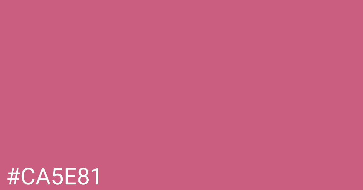 Hex color #ca5e81 graphic