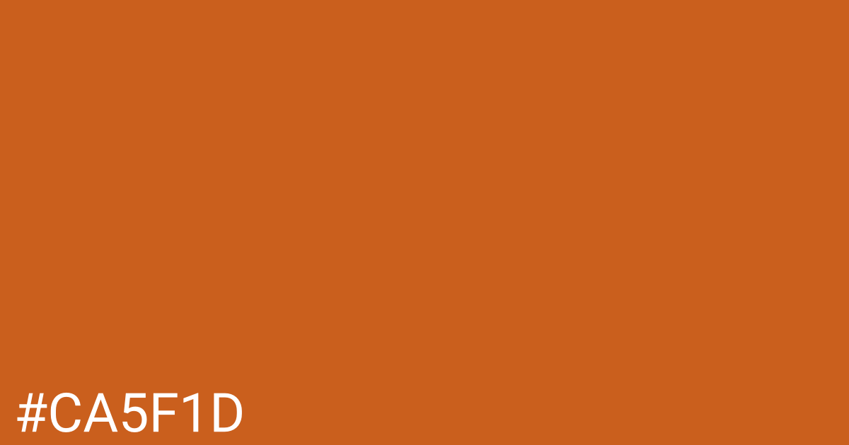 Hex color #ca5f1d graphic
