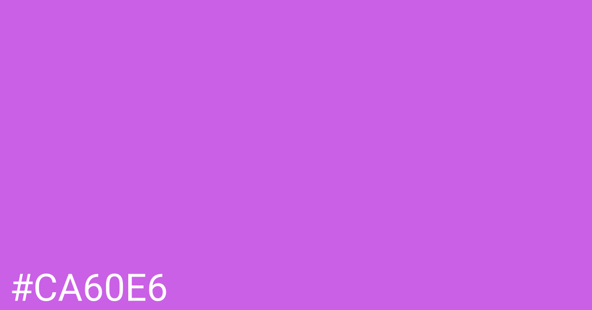 Hex color #ca60e6 graphic