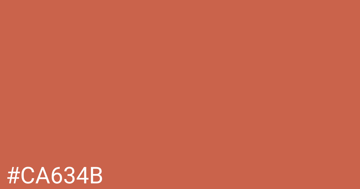 Hex color #ca634b graphic
