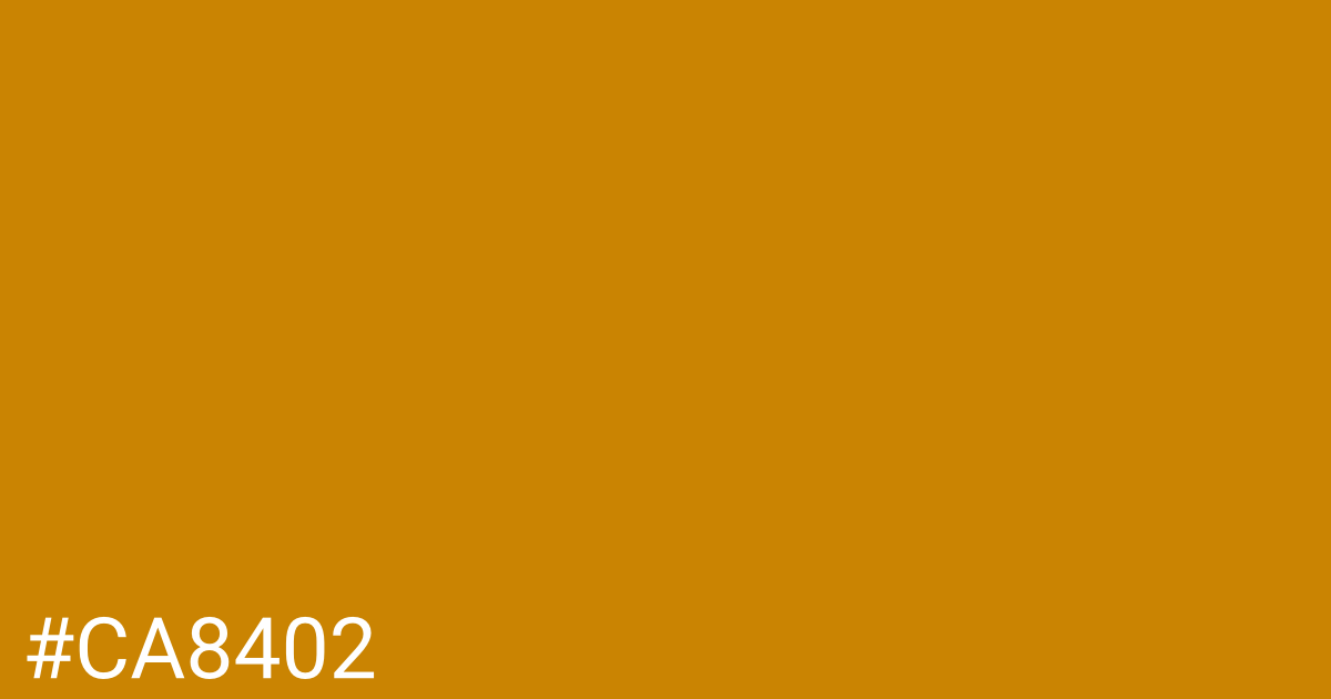 Hex color #ca8402 graphic