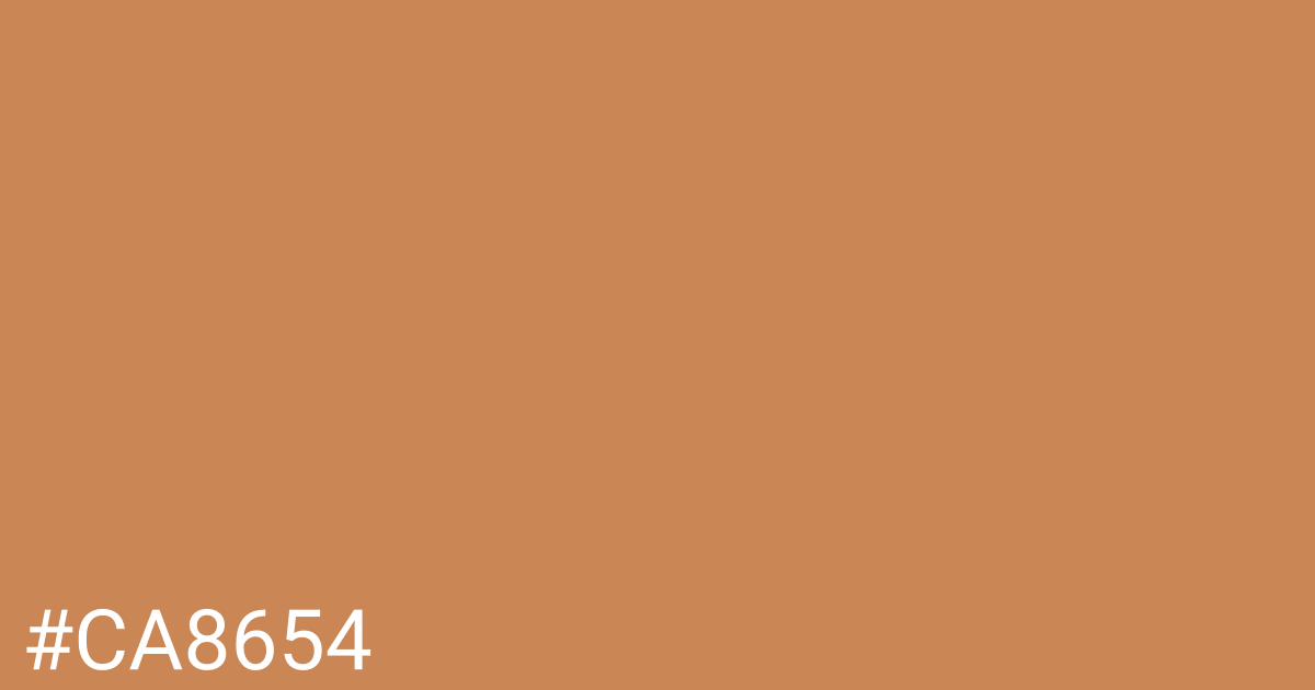 Hex color #ca8654 graphic