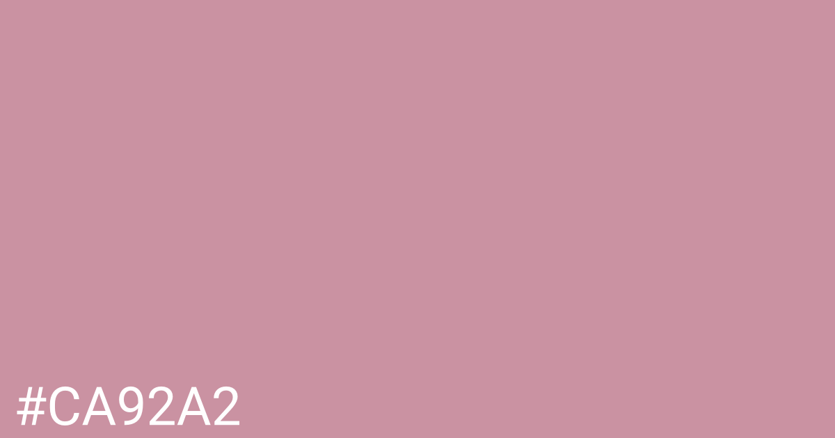 Hex color #ca92a2 graphic