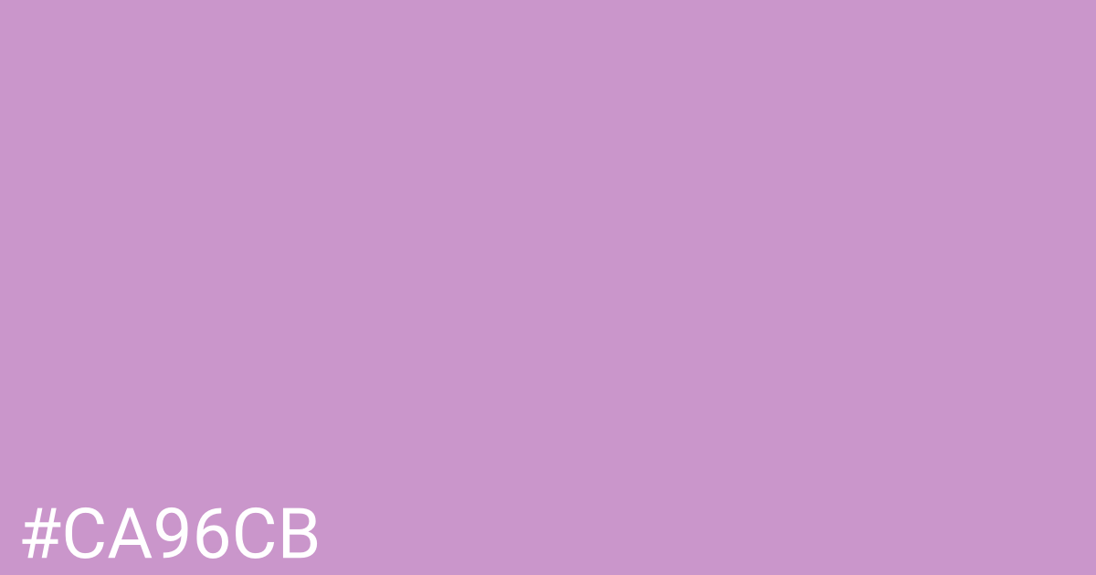 Hex color #ca96cb graphic