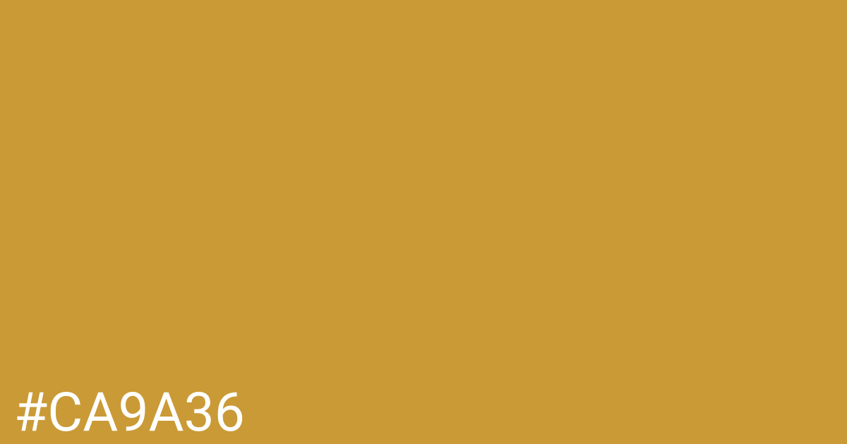 Hex color #ca9a36 graphic
