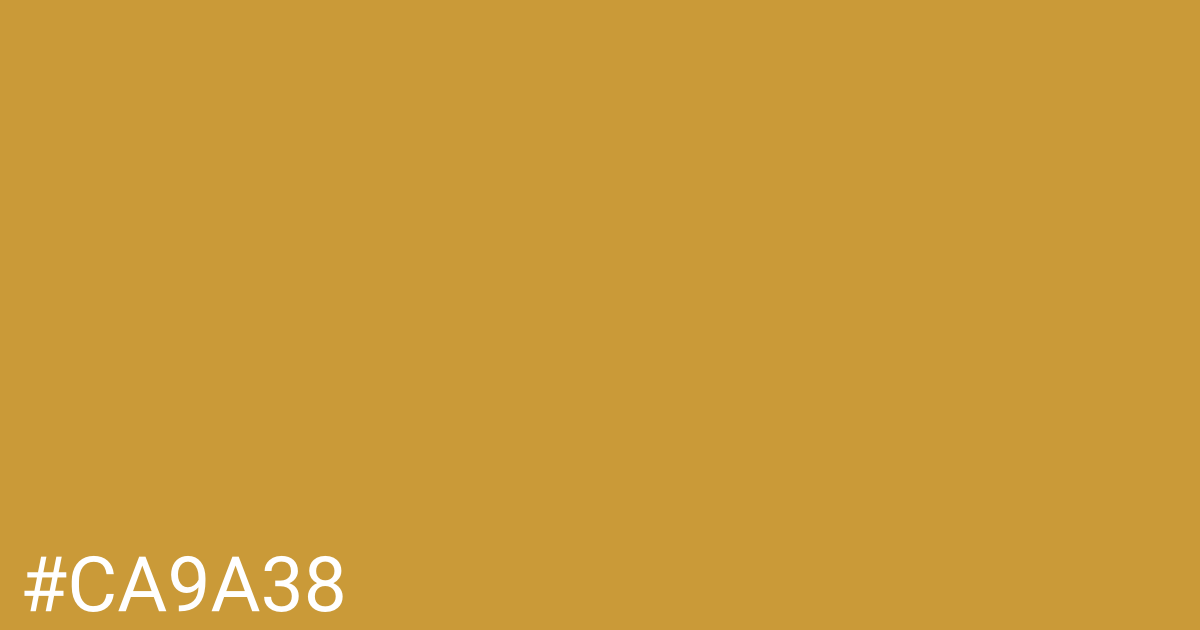 Hex color #ca9a38 graphic