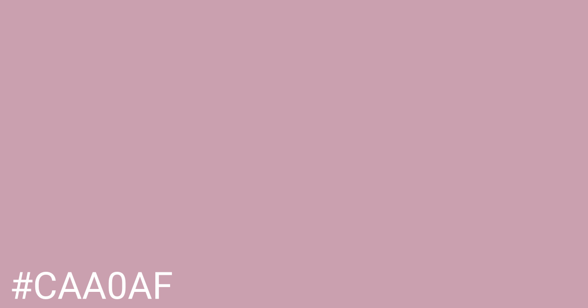 Hex color #caa0af graphic