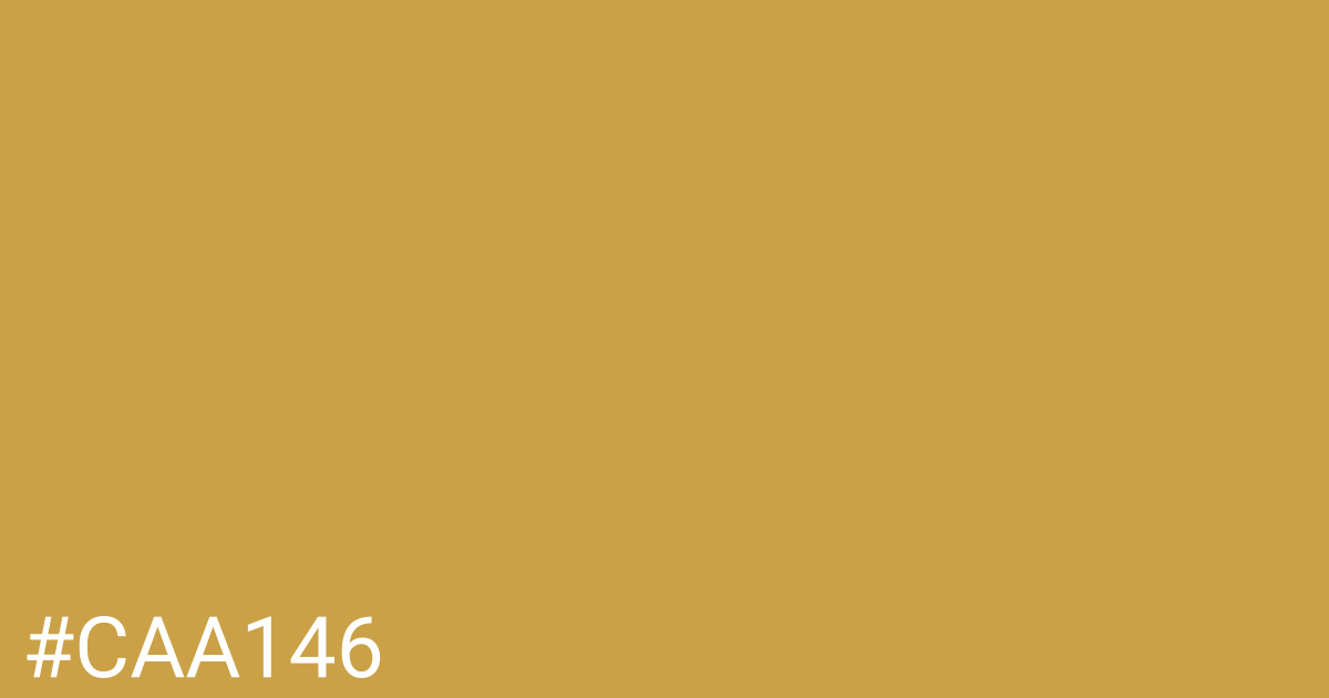 Hex color #caa146 graphic