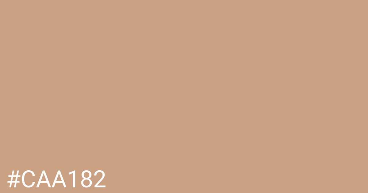 Hex color #caa182 graphic