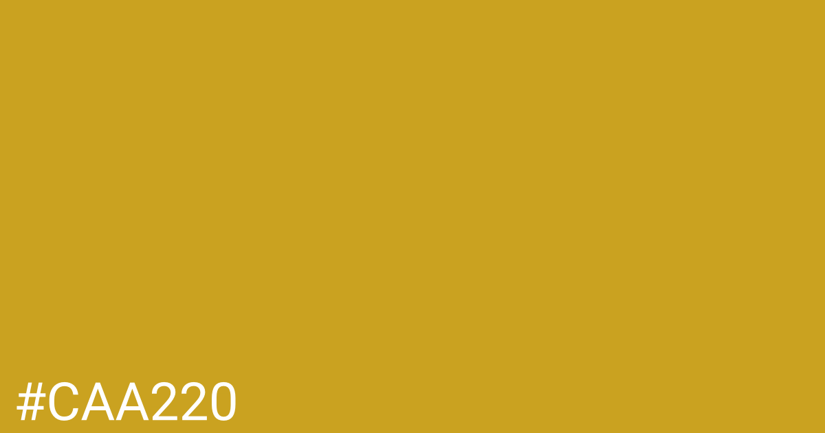 Hex color #caa220 graphic