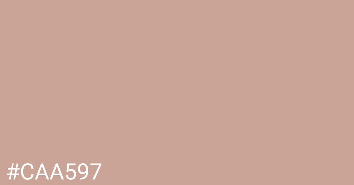 Hex color #caa597 graphic