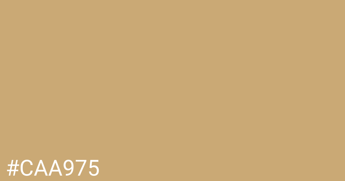 Hex color #caa975 graphic
