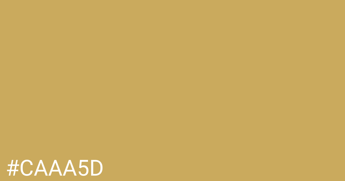 Hex color #caaa5d graphic