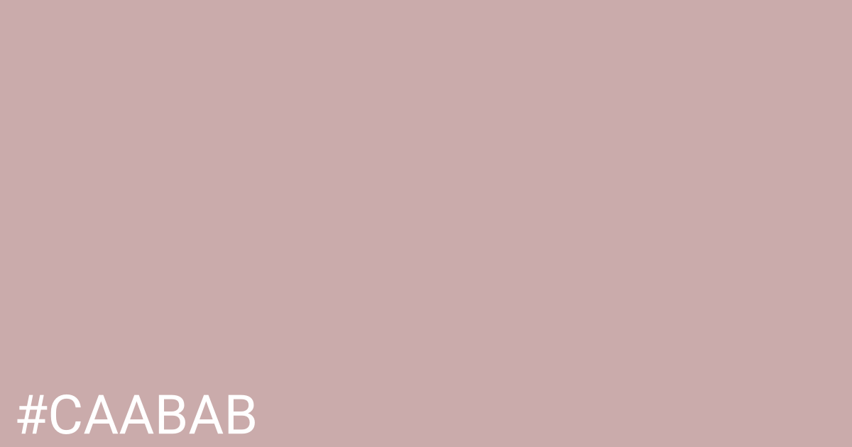 Hex color #caabab graphic