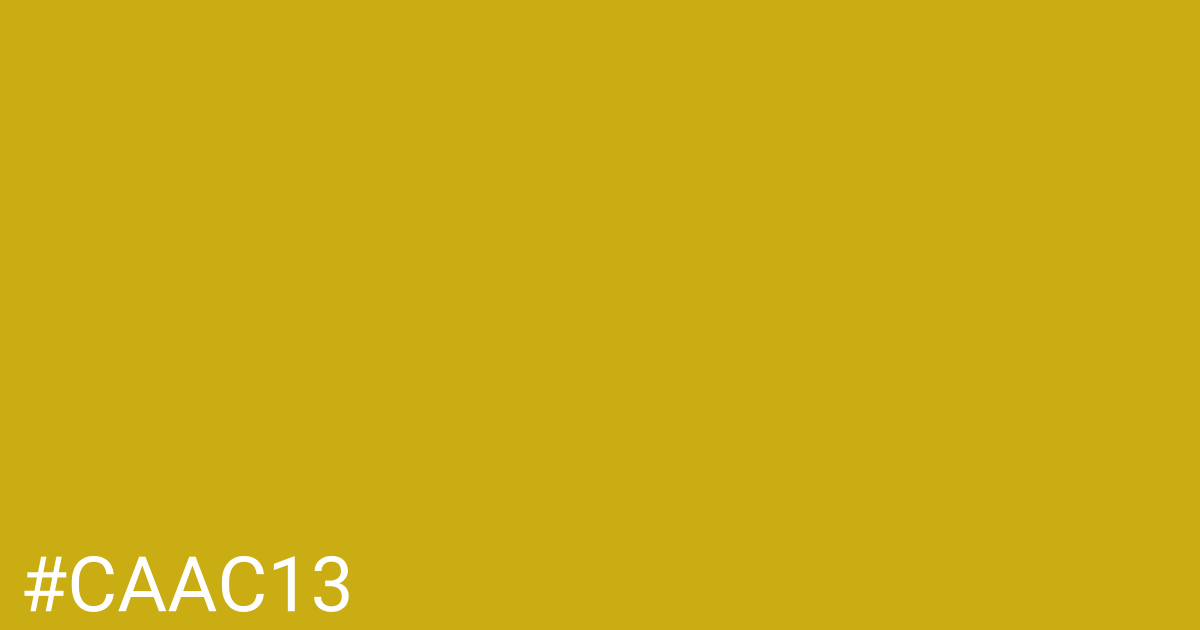 Hex color #caac13 graphic