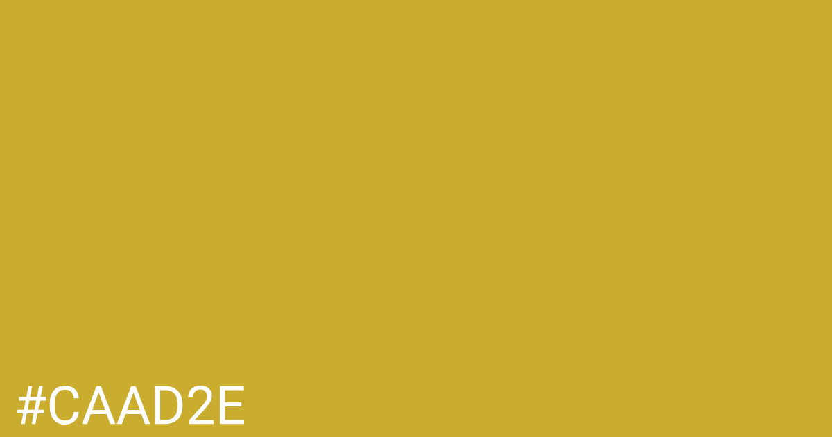 Hex color #caad2e graphic