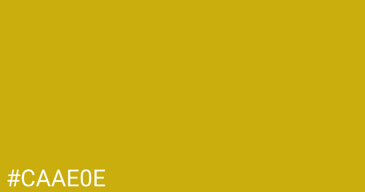 Hex color #caae0e graphic