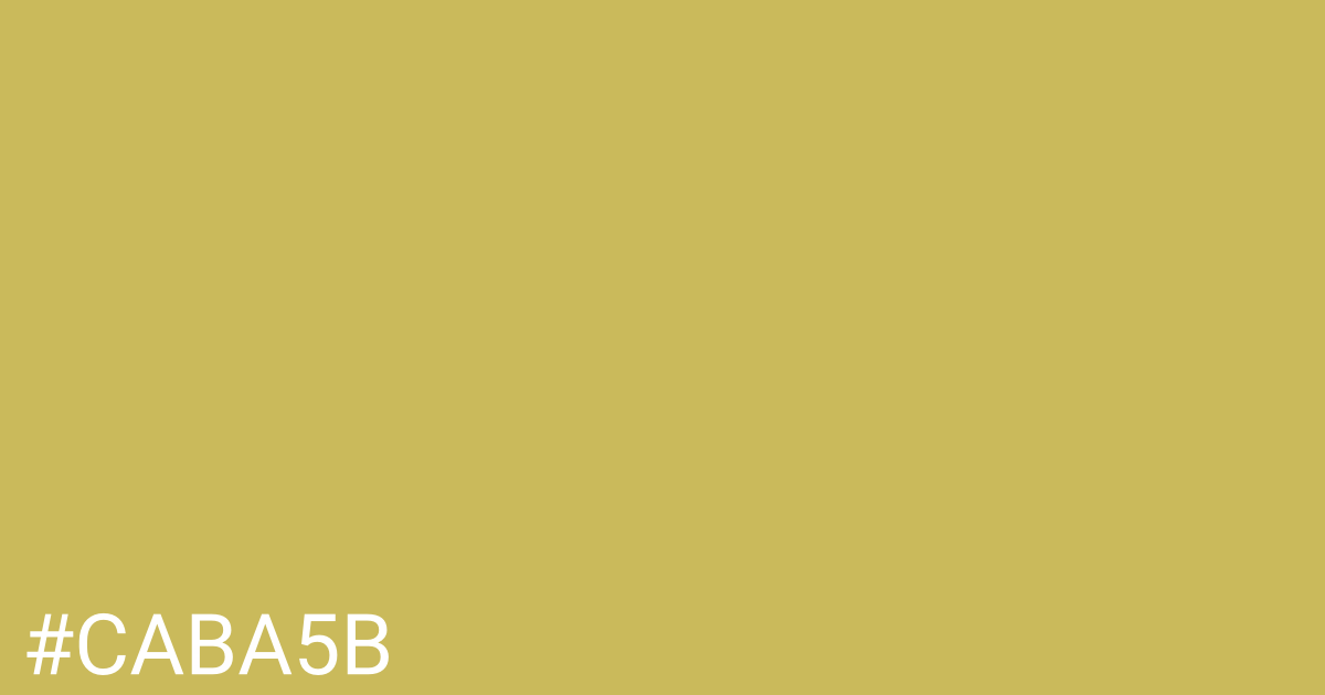 Hex color #caba5b graphic