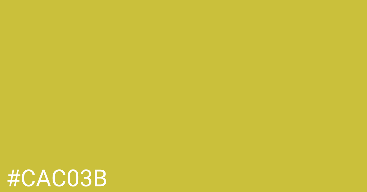 Hex color #cac03b graphic