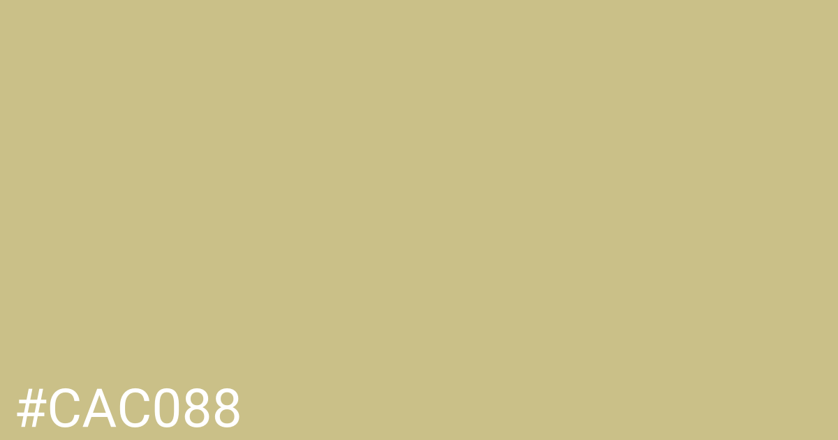 Hex color #cac088 graphic