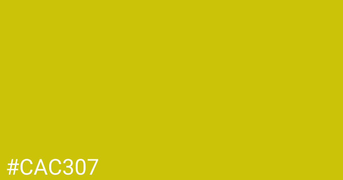 Hex color #cac307 graphic