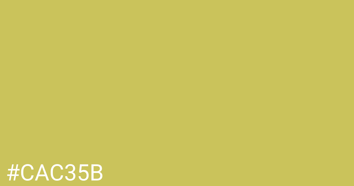 Hex color #cac35b graphic