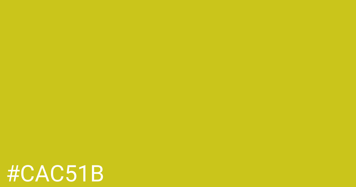 Hex color #cac51b graphic