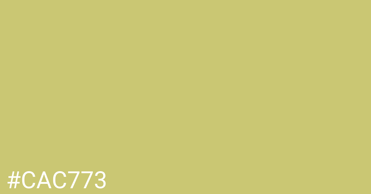 Hex color #cac773 graphic