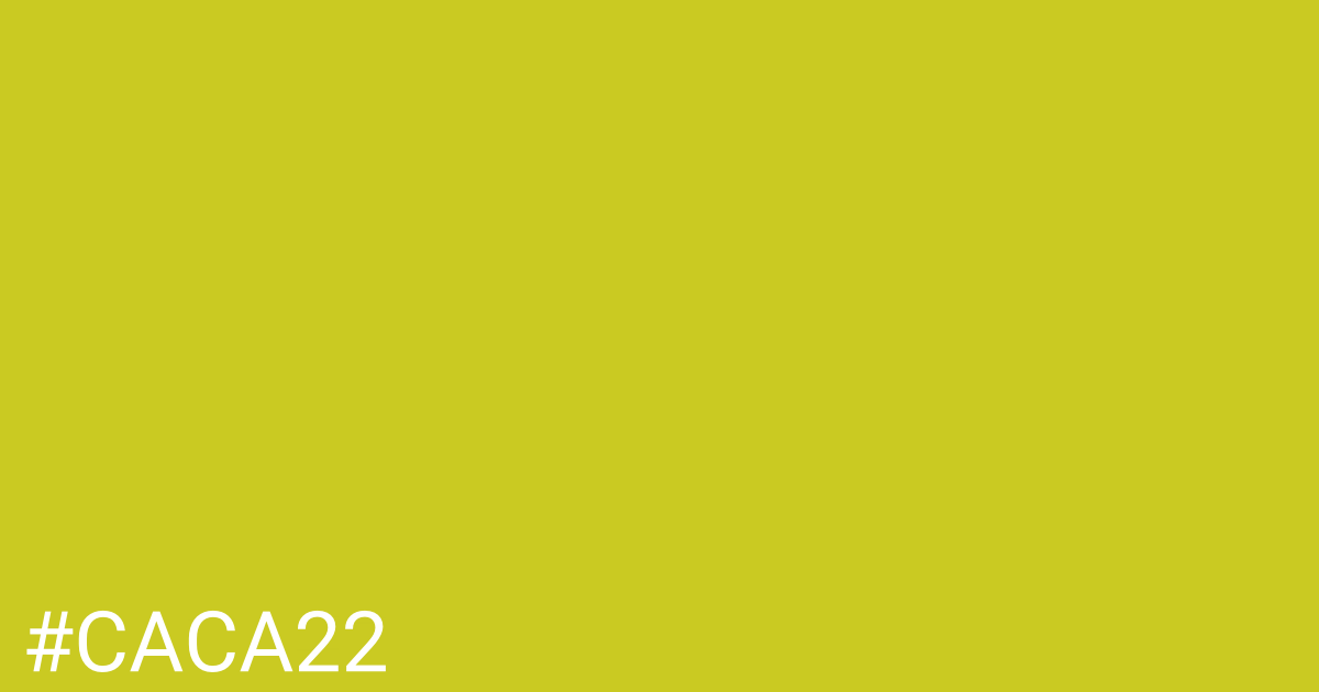 Hex color #caca22 graphic