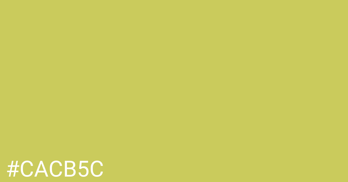 Hex color #cacb5c graphic