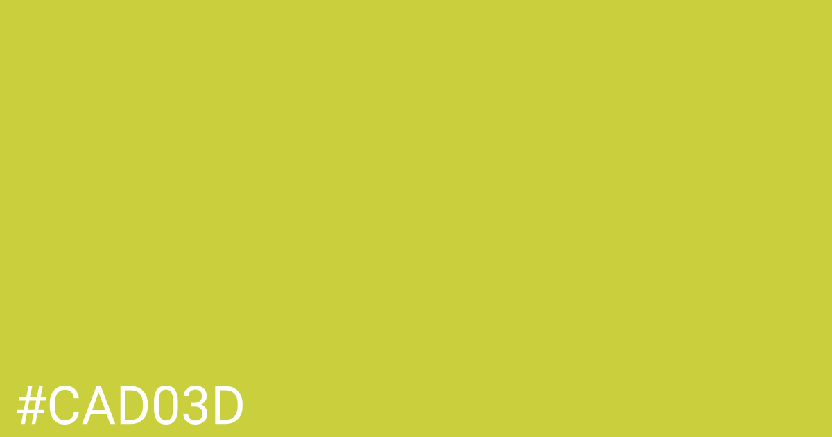 Hex color #cad03d graphic