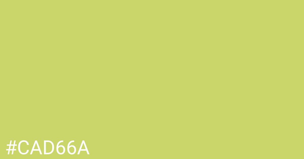 Hex color #cad66a graphic