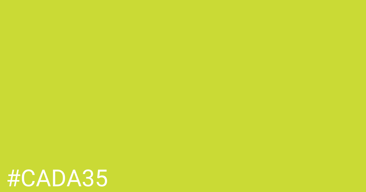 Hex color #cada35 graphic