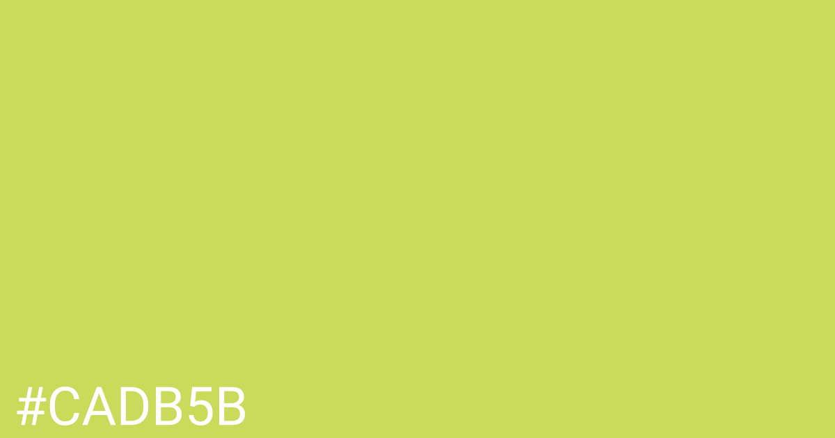 Hex color #cadb5b graphic