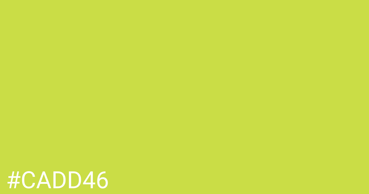 Hex color #cadd46 graphic
