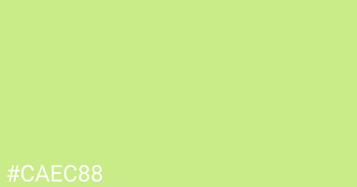 Hex color #caec88 graphic