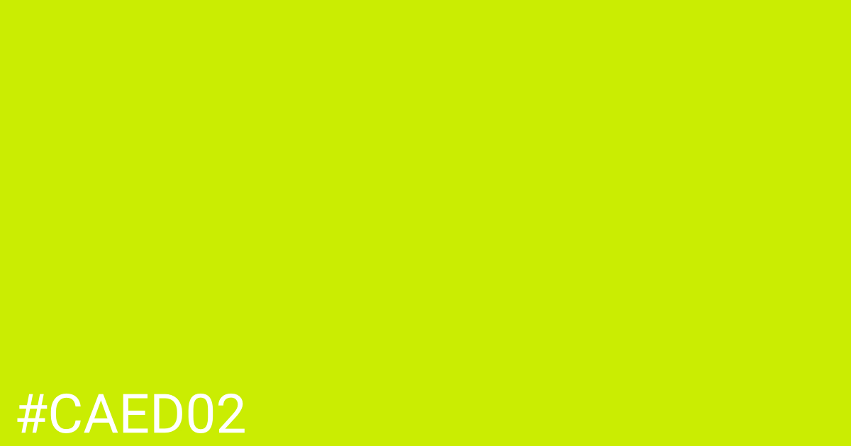 Hex color #caed02 graphic